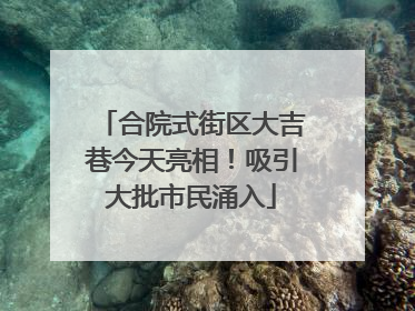 合院式街区大吉巷今天亮相！吸引大批市民涌入
