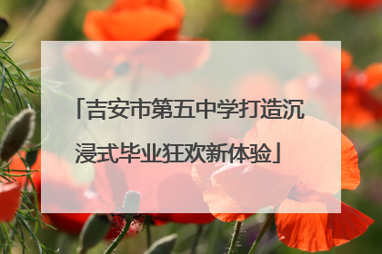 吉安市第五中学打造沉浸式毕业狂欢新体验