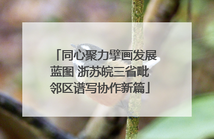 同心聚力擘画发展蓝图 浙苏皖三省毗邻区谱写协作新篇