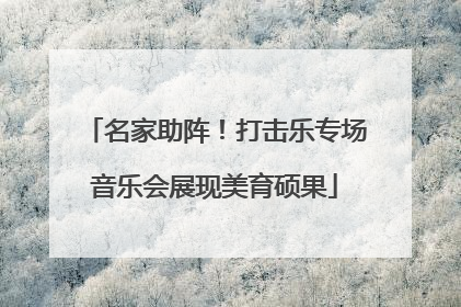名家助阵！打击乐专场音乐会展现美育硕果