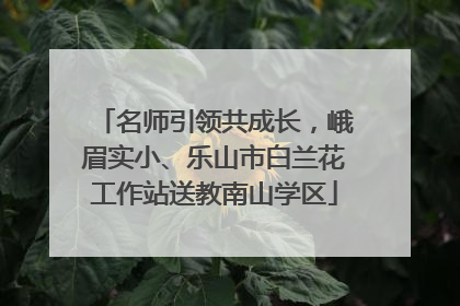 名师引领共成长，峨眉实小、乐山市白兰花工作站送教南山学区