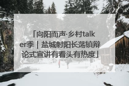 向阳而声·乡村talker季｜盐城射阳长荡镇辩论式宣讲有看头有热度