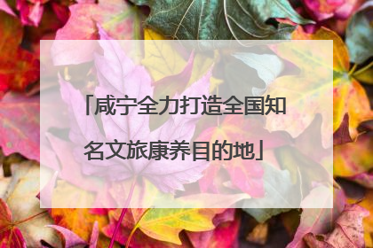咸宁全力打造全国知名文旅康养目的地