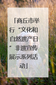 商丘市举行“文化和自然遗产日”非遗宣传展示系列活动