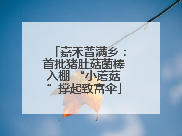 嘉禾普满乡：首批猪肚菇菌棒入棚 “小蘑菇”撑起致富伞