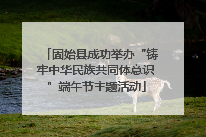固始县成功举办“铸牢中华民族共同体意识”端午节主题活动