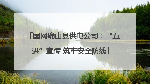 国网确山县供电公司：“五进”宣传 筑牢安全防线