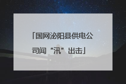 国网泌阳县供电公司闻“汛”出击