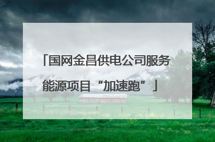 国网金昌供电公司服务能源项目“加速跑”