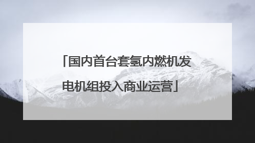 国内首台套氢内燃机发电机组投入商业运营
