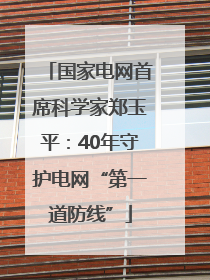 国家电网首席科学家郑玉平：40年守护电网“第一道防线”