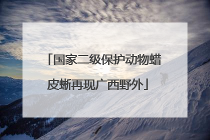 国家二级保护动物蜡皮蜥再现广西野外