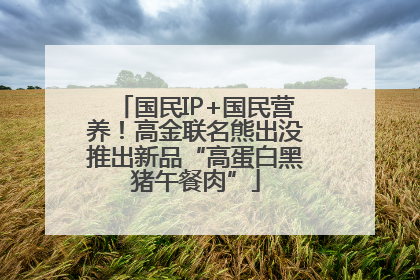 国民IP+国民营养！高金联名熊出没推出新品“高蛋白黑猪午餐肉”