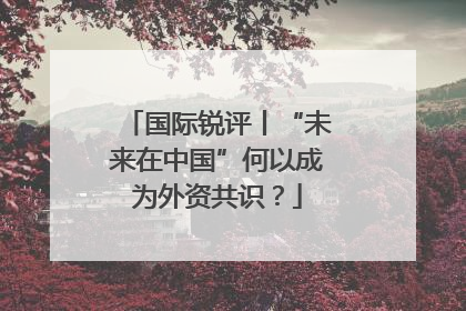 国际锐评丨“未来在中国”何以成为外资共识？