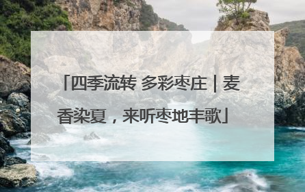 四季流转 多彩枣庄｜麦香染夏，来听枣地丰歌