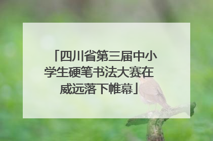 四川省第三届中小学生硬笔书法大赛在威远落下帷幕