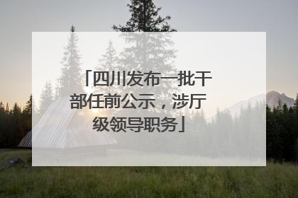 四川发布一批干部任前公示，涉厅级领导职务