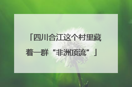 四川合江这个村里藏着一群“非洲顶流”