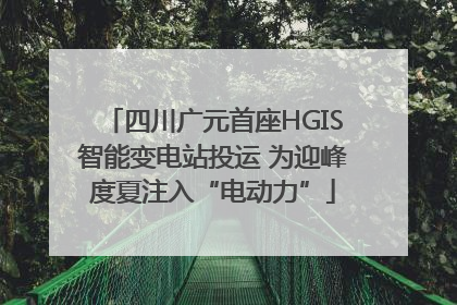四川广元首座HGIS智能变电站投运 为迎峰度夏注入“电动力”