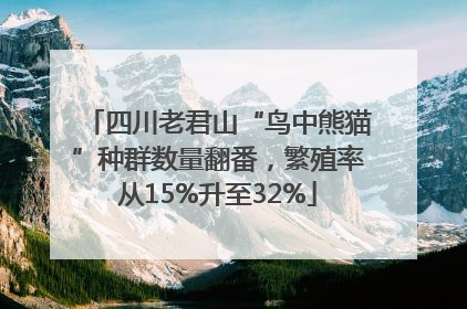 四川老君山“鸟中熊猫”种群数量翻番，繁殖率从15%升至32%
