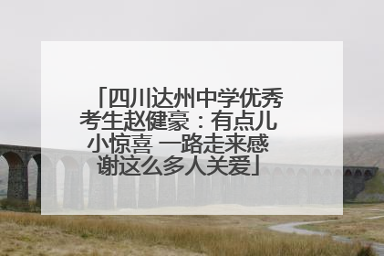 四川达州中学优秀考生赵健豪：有点儿小惊喜 一路走来感谢这么多人关爱