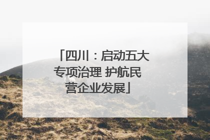 四川：启动五大专项治理 护航民营企业发展