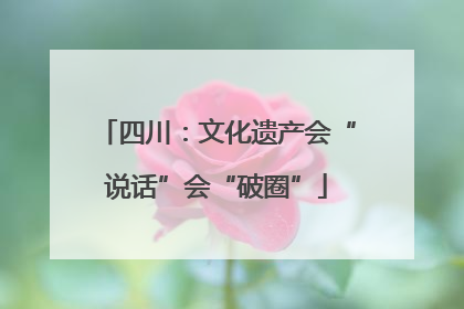 四川：文化遗产会“说话”会“破圈”
