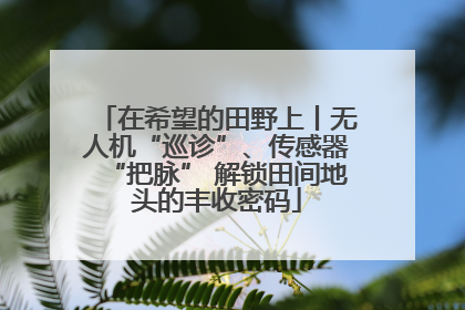 在希望的田野上丨无人机“巡诊”、传感器“把脉” 解锁田间地头的丰收密码