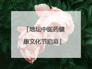 地坛中医药健康文化节启幕