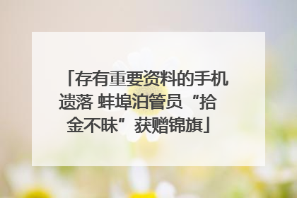 存有重要资料的手机遗落 蚌埠泊管员“拾金不昧”获赠锦旗