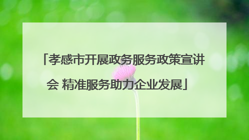 孝感市开展政务服务政策宣讲会 精准服务助力企业发展
