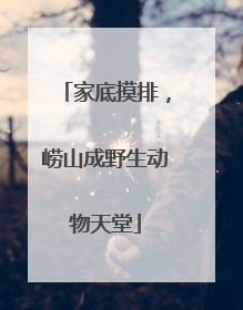 家底摸排，崂山成野生动物天堂