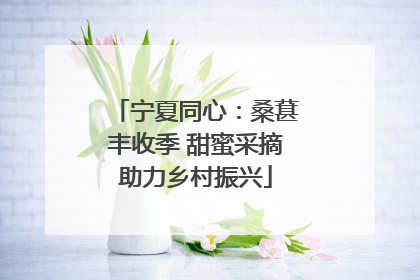 宁夏同心：桑葚丰收季 甜蜜采摘助力乡村振兴