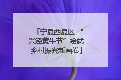 宁夏西夏区 “兴泾黄牛节”绘就乡村振兴新画卷