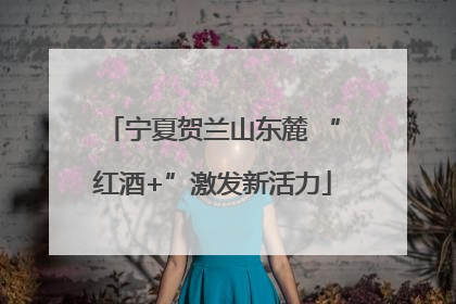 宁夏贺兰山东麓 “红酒+”激发新活力
