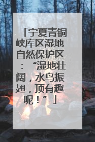 宁夏青铜峡库区湿地自然保护区：“湿地壮阔，水鸟振翅，顶有趣呢！”