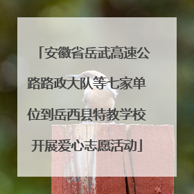 安徽省岳武高速公路路政大队等七家单位到岳西县特教学校开展爱心志愿活动