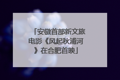 安徽首部新文旅电影《风起秋浦河》在合肥首映