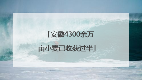 安徽4300余万亩小麦已收获过半