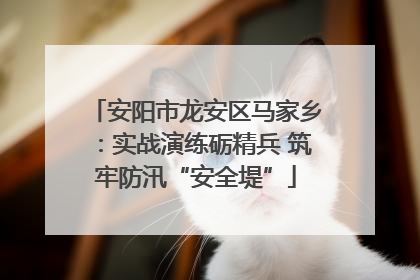 安阳市龙安区马家乡：实战演练砺精兵 筑牢防汛“安全堤”