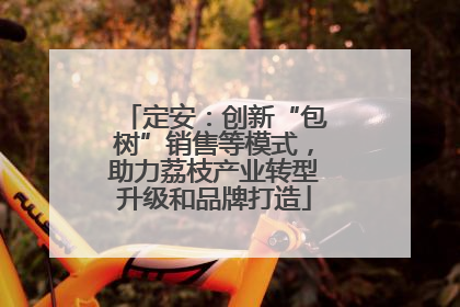 定安：创新“包树”销售等模式，助力荔枝产业转型升级和品牌打造