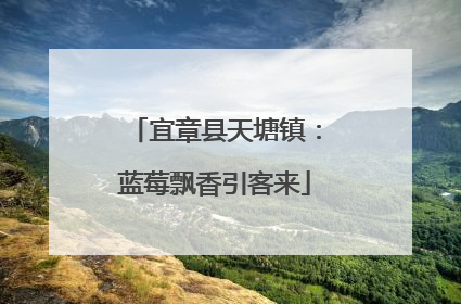 宜章县天塘镇：蓝莓飘香引客来