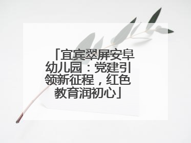 宜宾翠屏安阜幼儿园：党建引领新征程，红色教育润初心