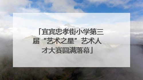 宜宾忠孝街小学第三届“艺术之星”艺术人才大赛圆满落幕
