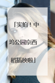 实拍！中坞公园京西稻插秧啦