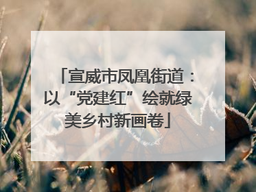 宣威市凤凰街道：以“党建红”绘就绿美乡村新画卷