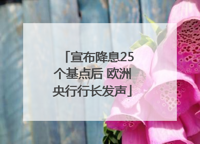 宣布降息25个基点后 欧洲央行行长发声