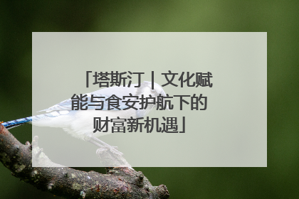 塔斯汀｜文化赋能与食安护航下的财富新机遇