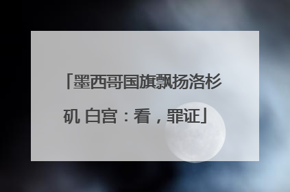 墨西哥国旗飘扬洛杉矶 白宫：看，罪证