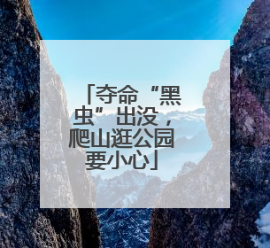 夺命“黑虫”出没，爬山逛公园要小心